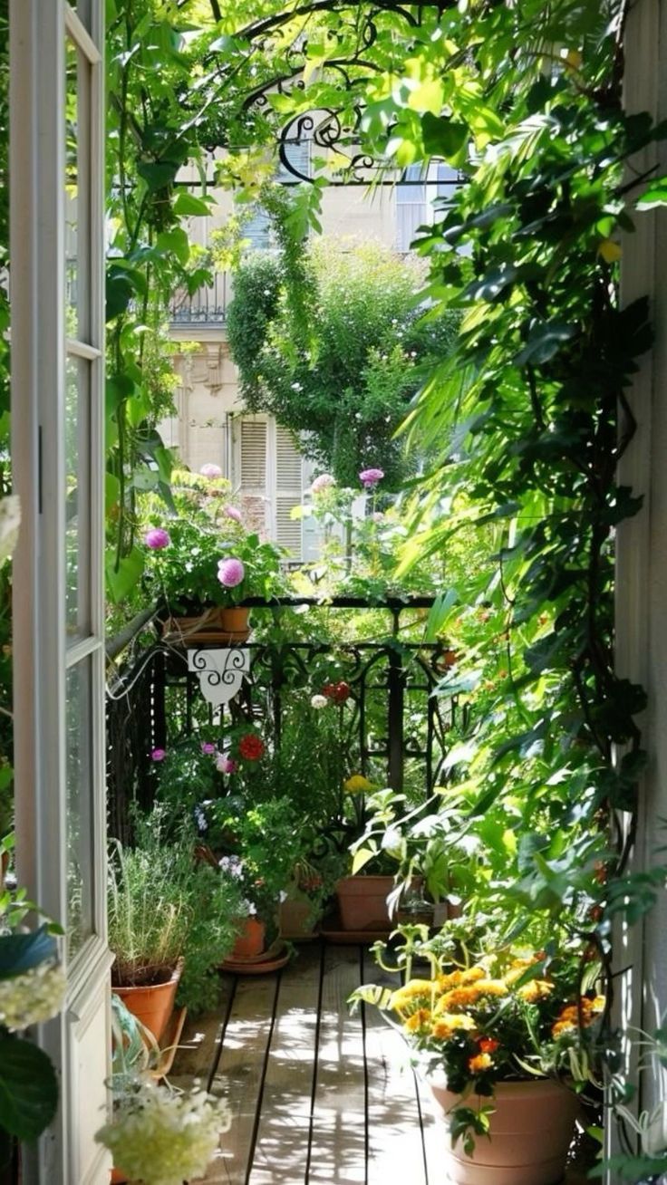 Spruce up for Summer | New Garden Gadgets